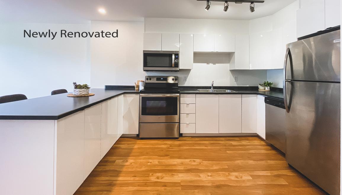 Rutledge Manor Newly Renovated Kitchen Image