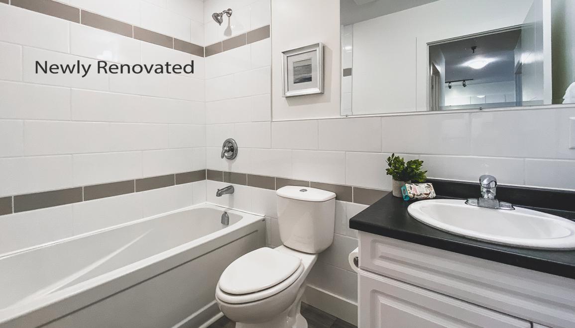 Rutledge Manor Newly Renovated Bathroom Image