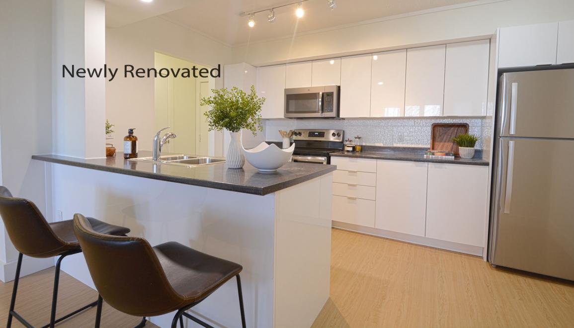 Waterview Apartments Newly Renovated Kitchen Image
