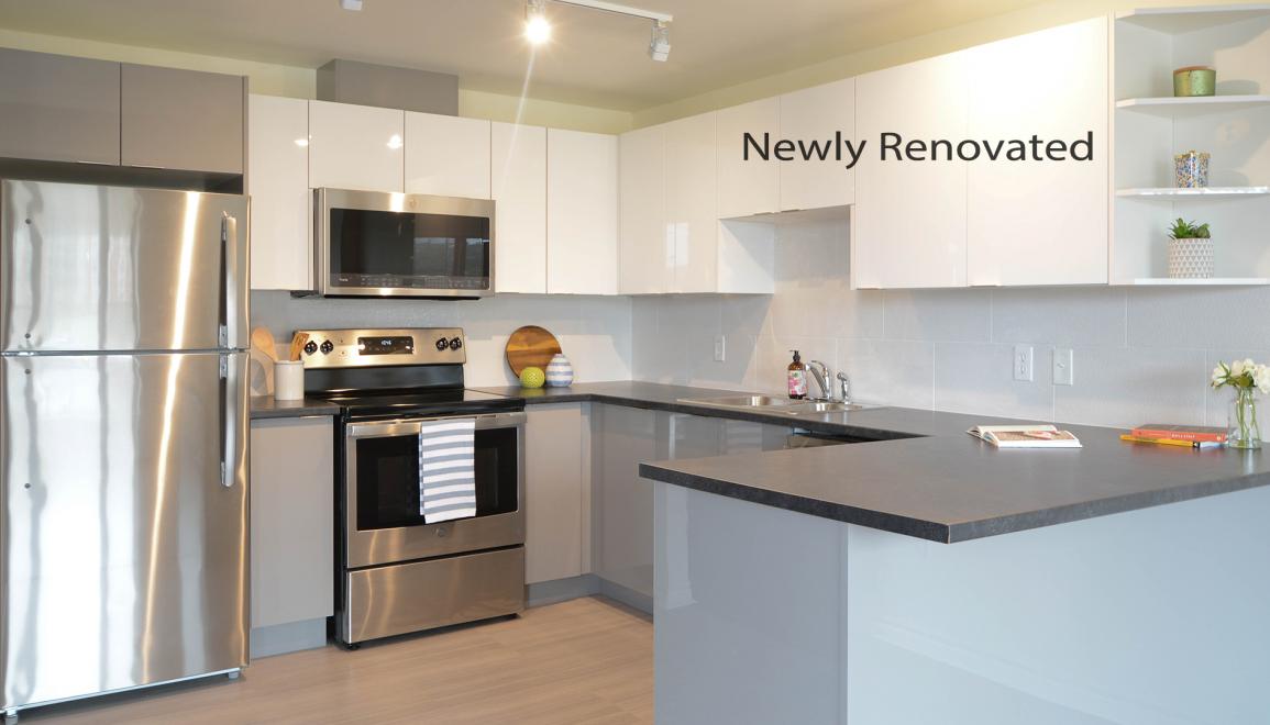 21 Parkland Apartments Newly Renovated Kitchen Image