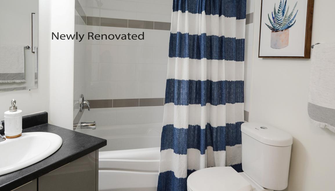 21 Parkland Renovated Bathroom