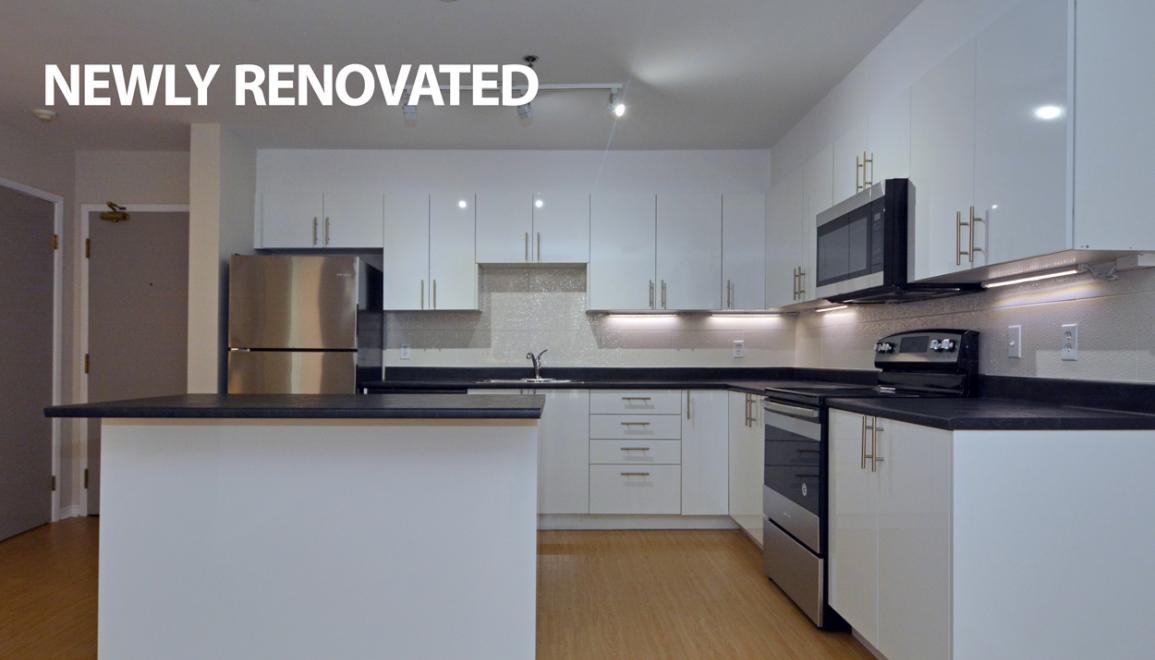 5206 Tobin Street Kitchen Image