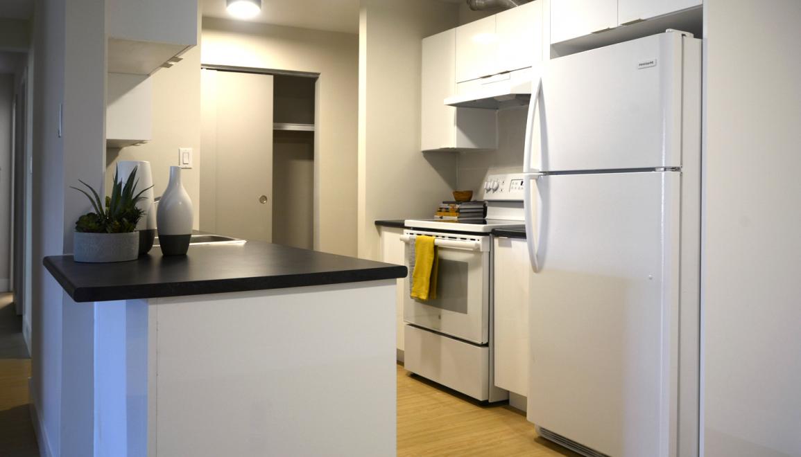23 Glen Moir Renovated Kitchen