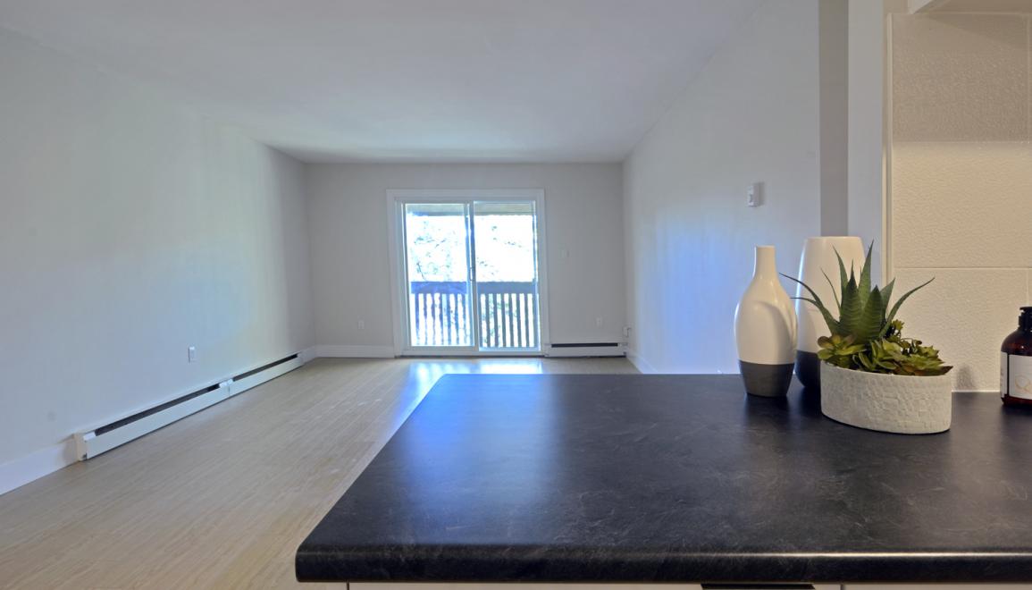 23 Glen Moir Renovated Living Space