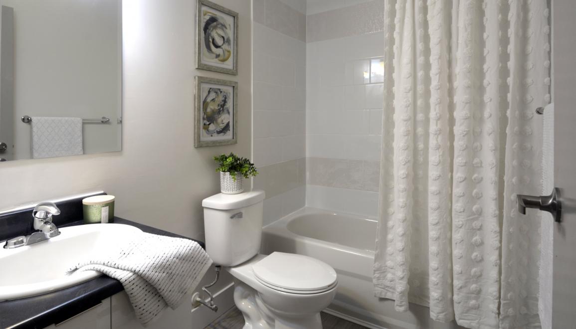 23 Glen Moir Renovated Bathroom Image