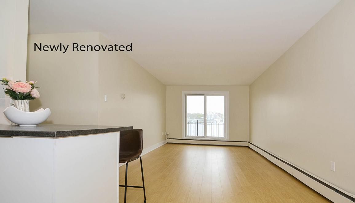 3 Dillam Place Renovated Kitchen & Livingroom