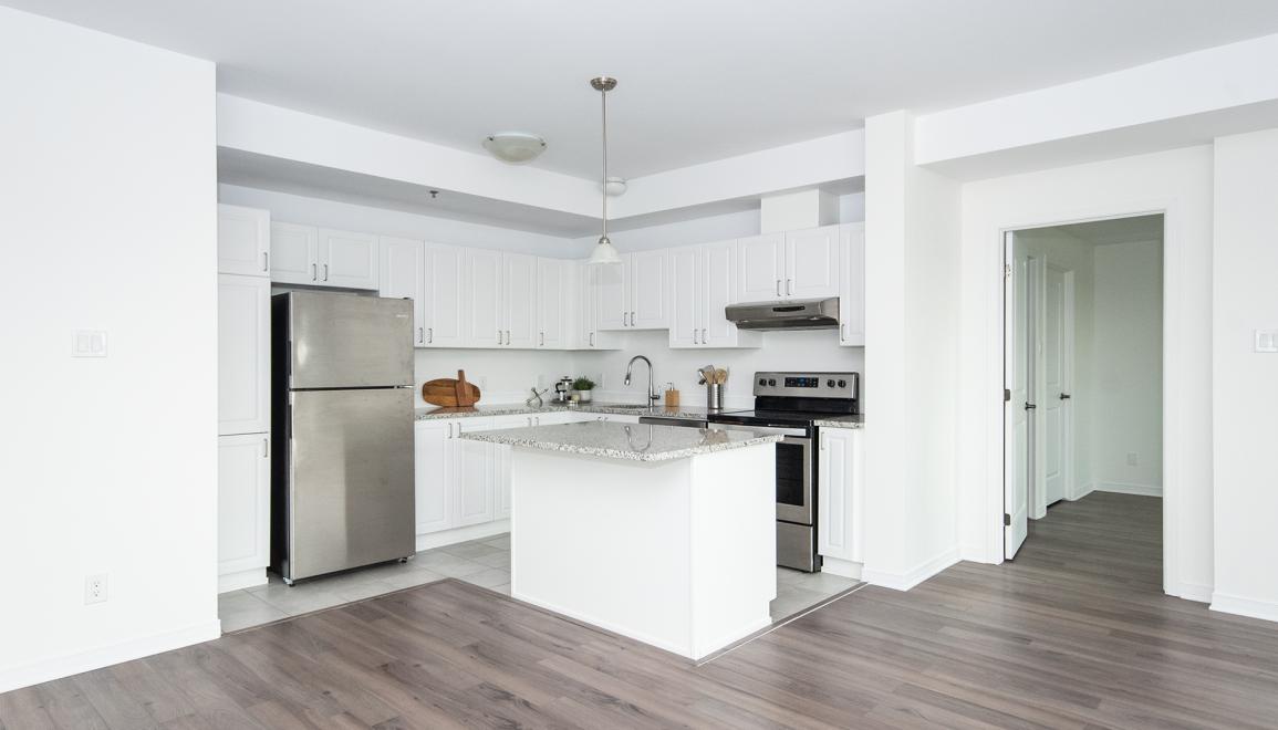 151 Greenbank Apartment Kitchen & Living Room Image