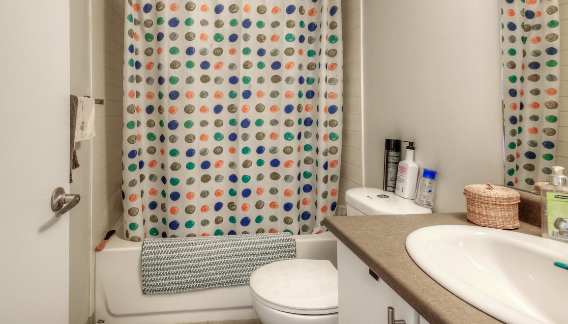100 Lower Ossington Avenue Bathroom Image