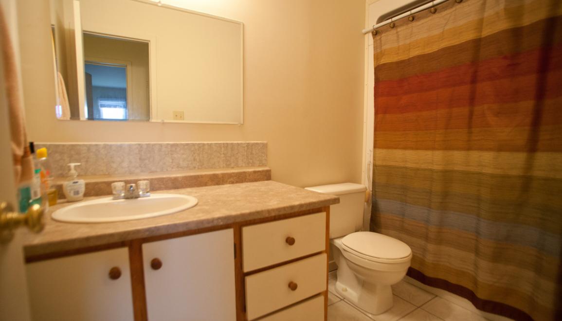 Horton Park Bathroom Image