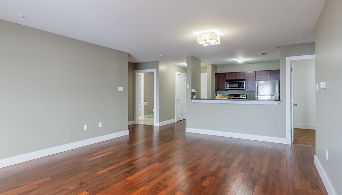 11 Harold Doherty Living Room Kitchen