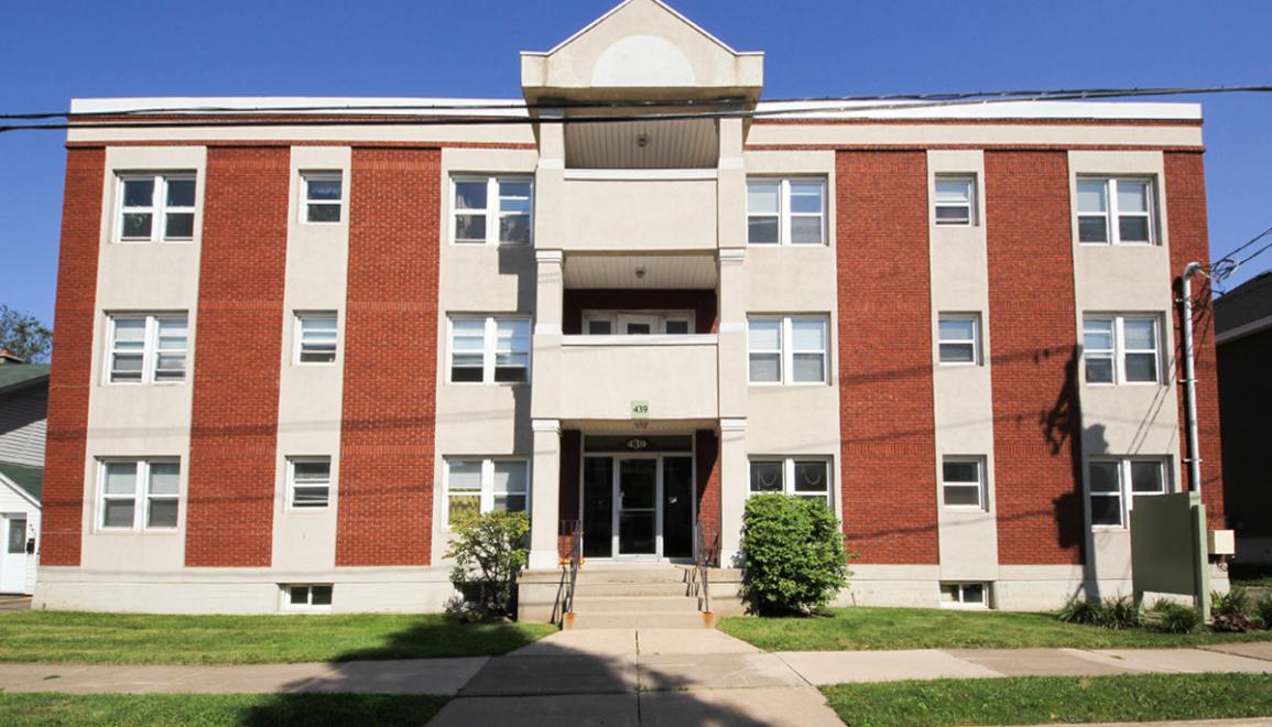 Lutz Street Apartments Exterior Image 2