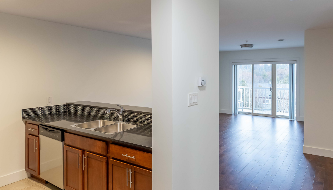 Blue Cedars Kitchen and Living Area