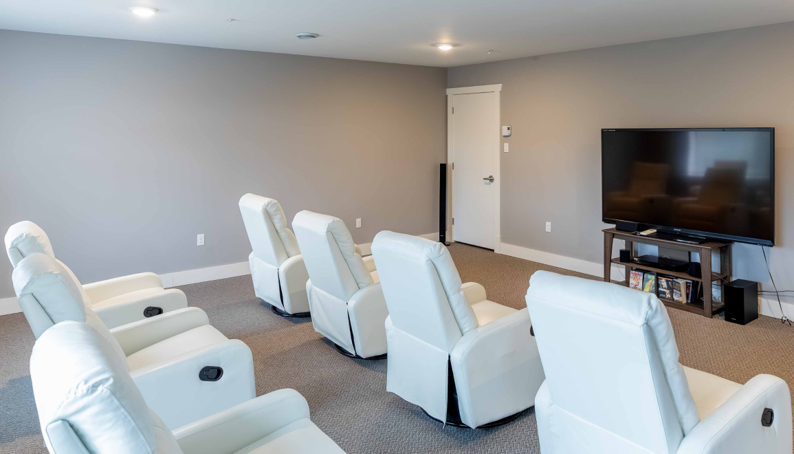 Blue Cedars Theatre Room
