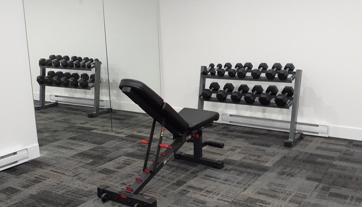 Forest Manor Gym Area