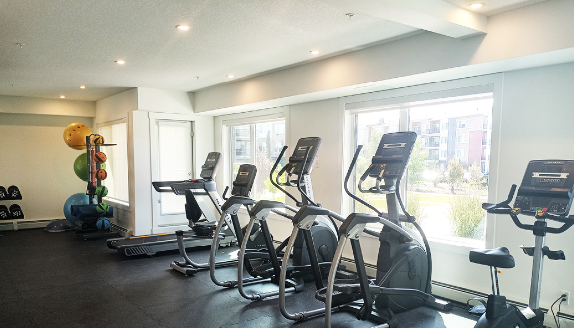 Nolan Gym