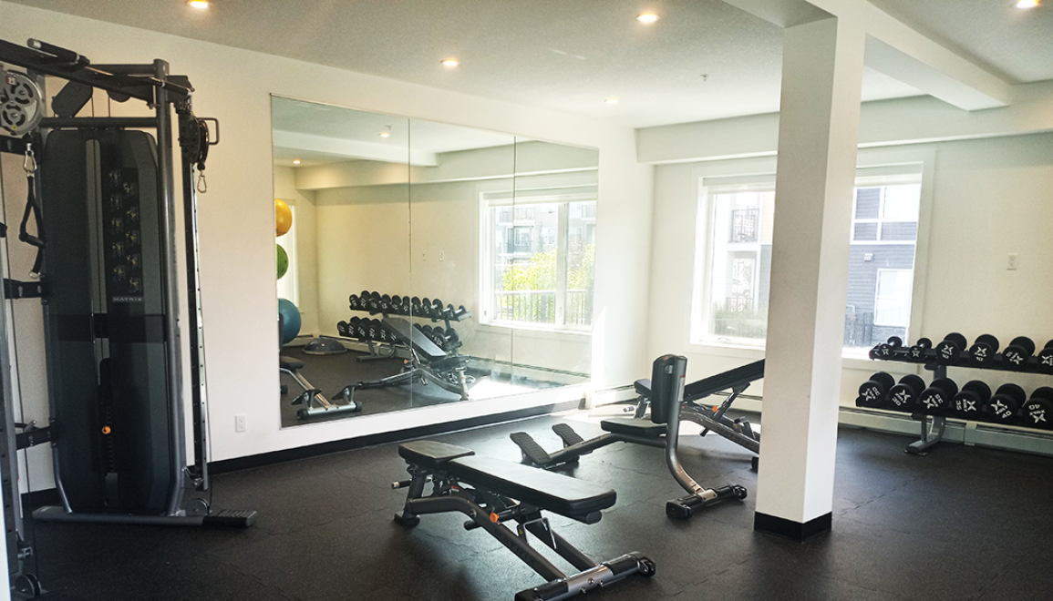 Nolan Gym