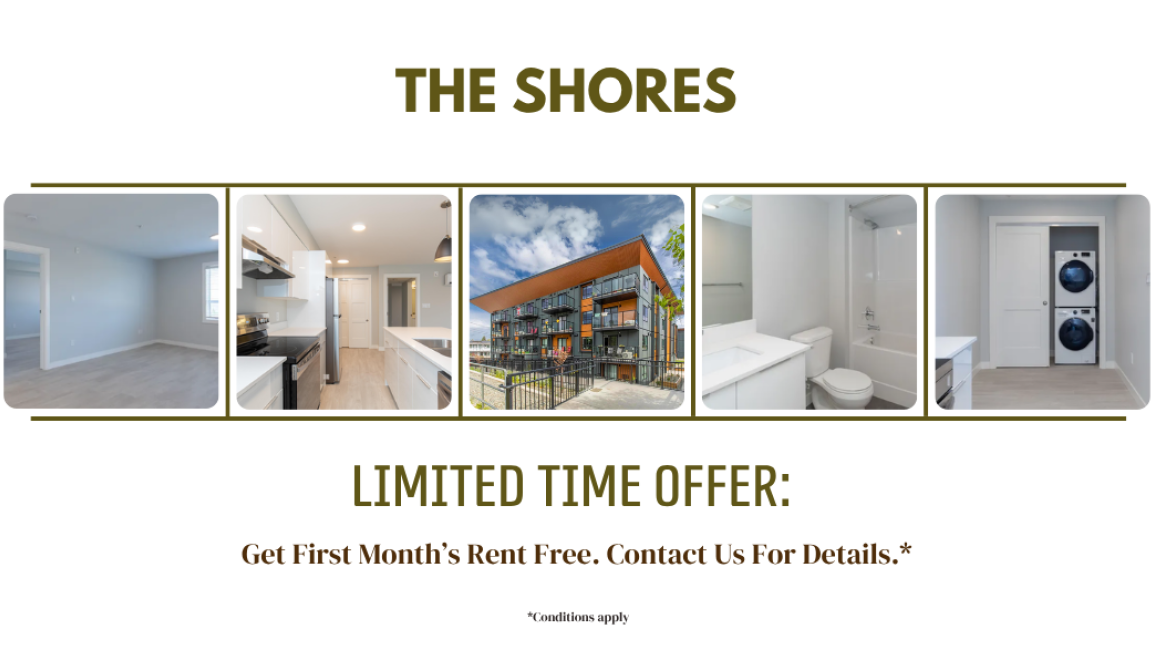 The Shores Promo