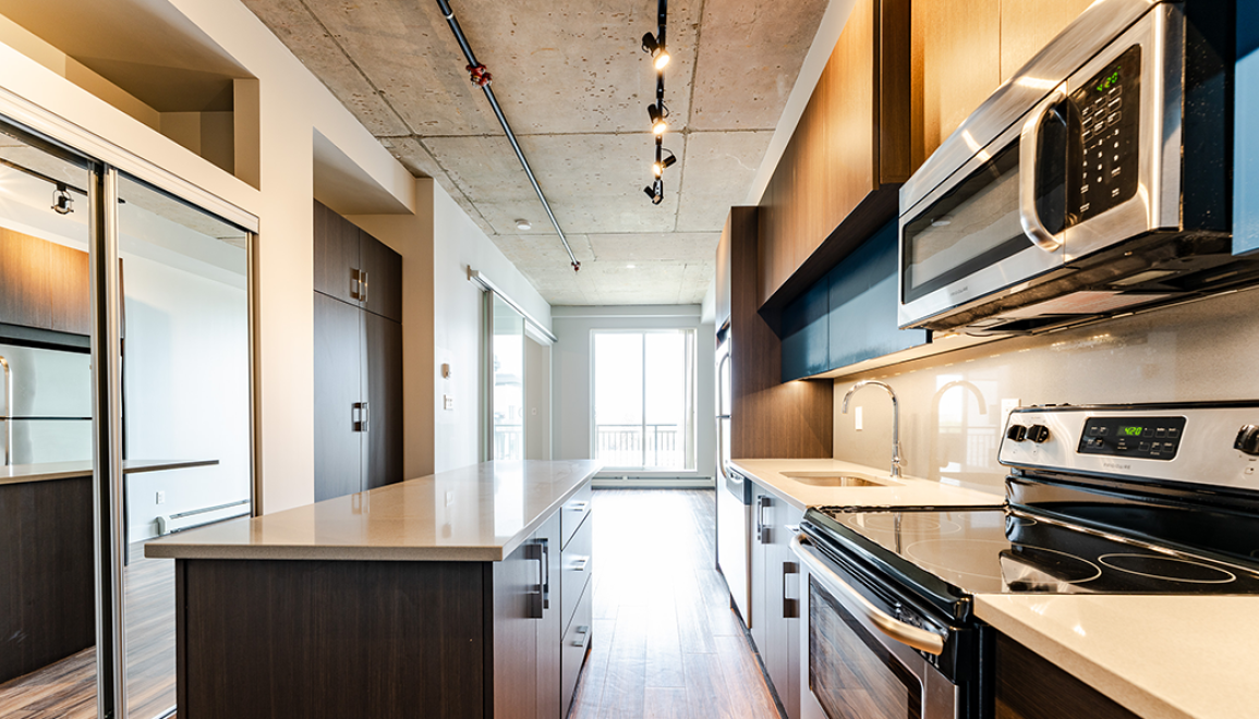 Vibe Lofts