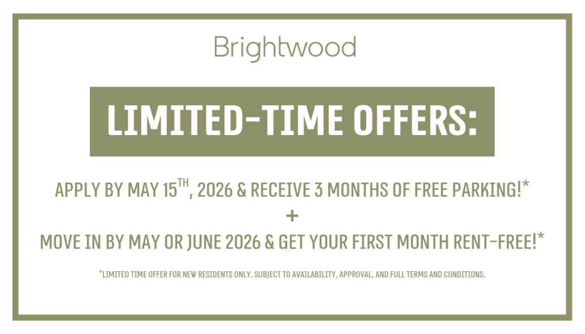 special discount