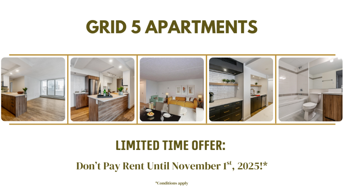 **Limited-Time Offer: Don't Pay Until November 1st, 2025! Contact Us For Details.**