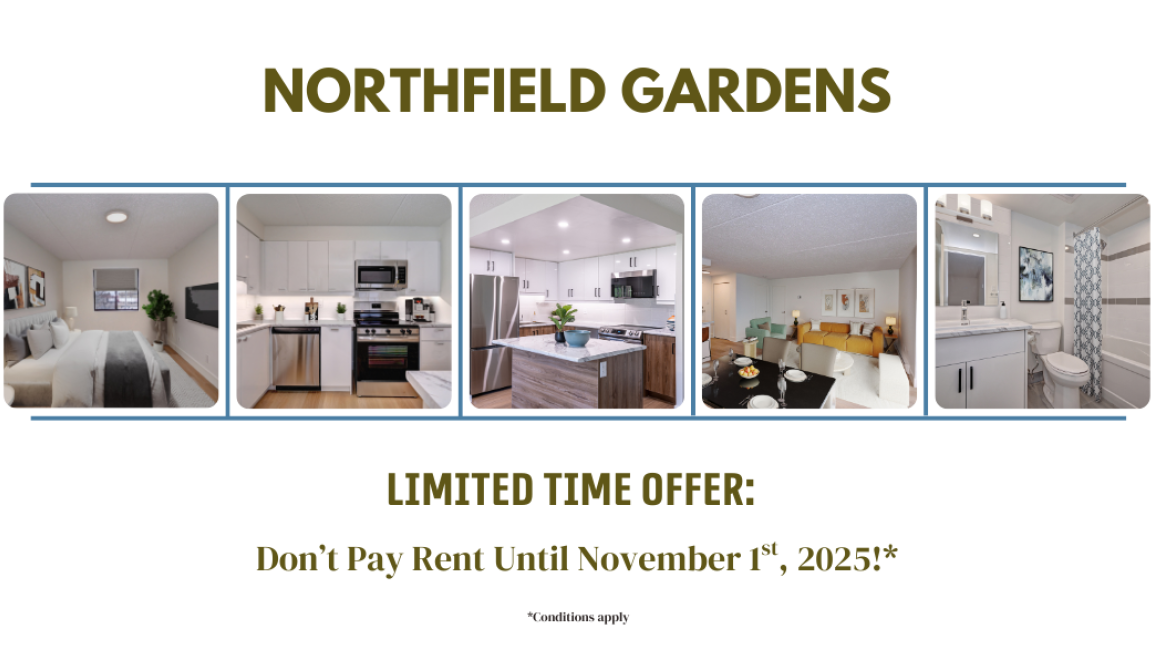 **Limited-Time Offer: Don't Pay Rent Until November 1st! Contact Us For Details.**