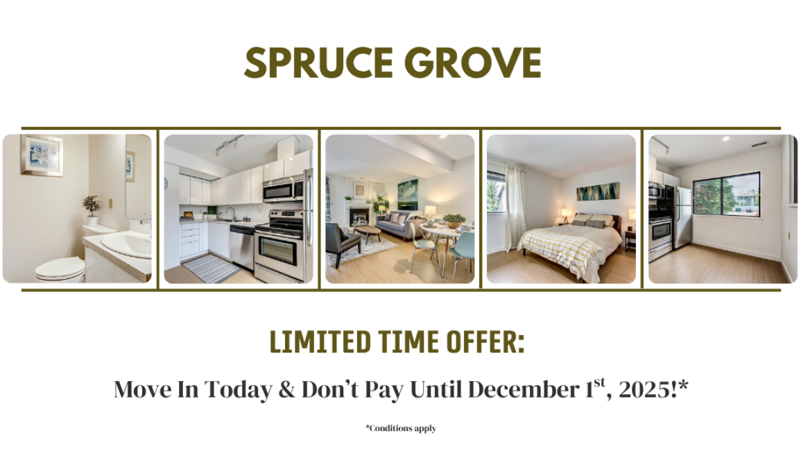 Move In Today & Don't Pay Rent Until December 1st, 2025!