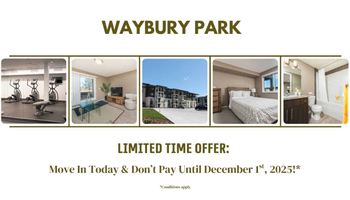 Move In Today & Don't Pay Rent Until December 1st, 2025!