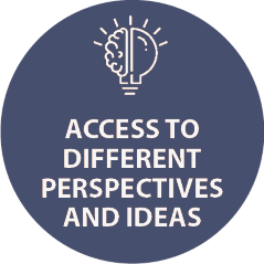 Access to different perspectives and ideas