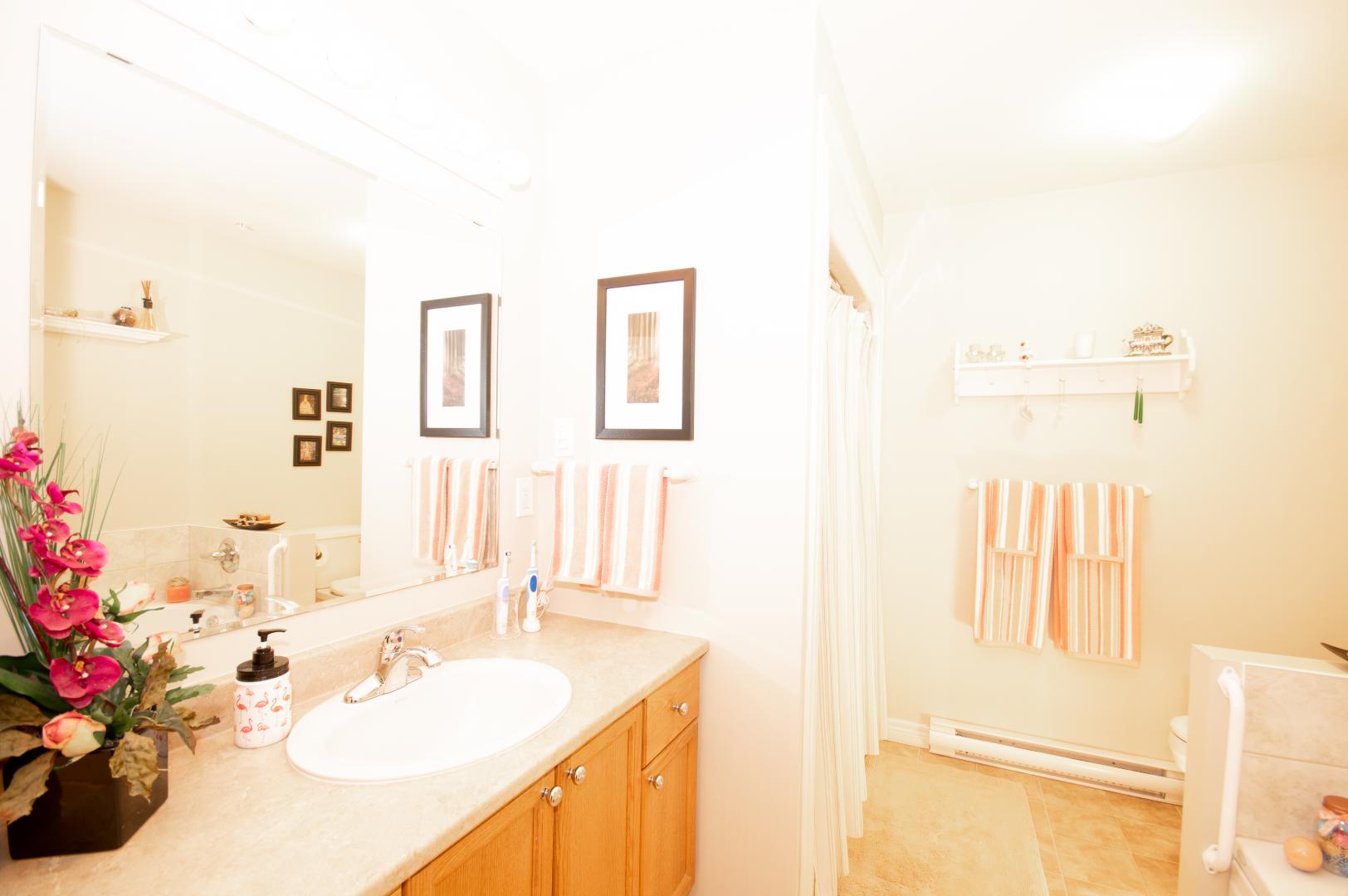 300 Reynolds Street Apartment Bathroom Image