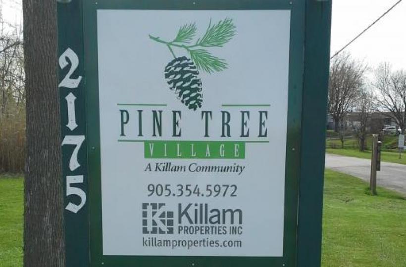 Pine Tree Village Sign