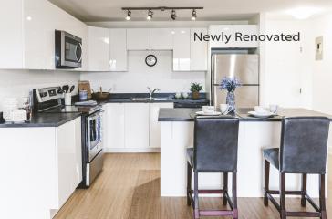 9 Carrington Newly Renovated Kitchen