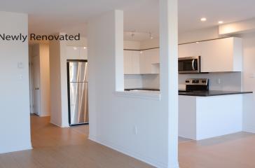 Paxton Place Renovated Kitchen and Living Space Image