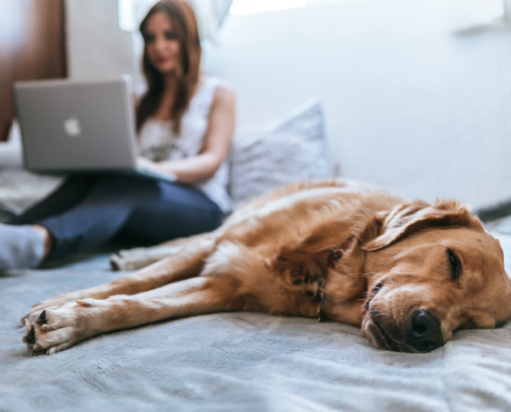 Family with Dog Laying On Bed